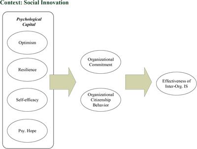 Psychological Capital of MIS Development Teams, System Effectiveness, and Social Innovation: A Systematic Literature Review